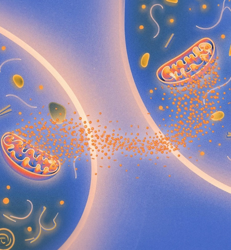 epigenetica-image-zone-01