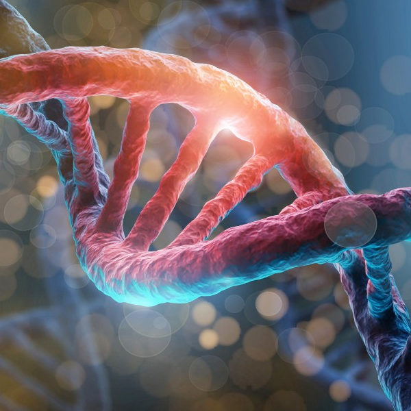 epigenetica-image-zone-02